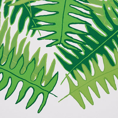 SCHUMACHER WALLCOVERING -CANYON FERNS-5012621