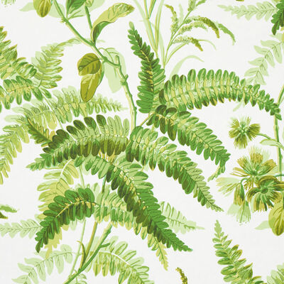 Schumacher Wallcovering -MYERS FERN-5013231