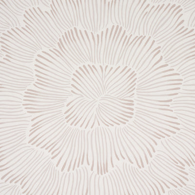 SCHUMACHER WALLCOVERING -FEATHER BLOOM-5013821