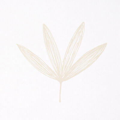 Schumacher Wallcovering -RUE-5013922