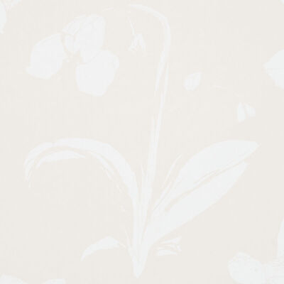 Schumacher Wallcovering -ORCHIDS HAVE DREAMS-5014102