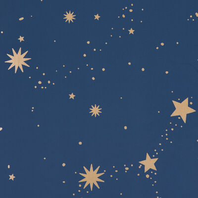 Schumacher Wallcovering -SCATTERED STARS-5014141