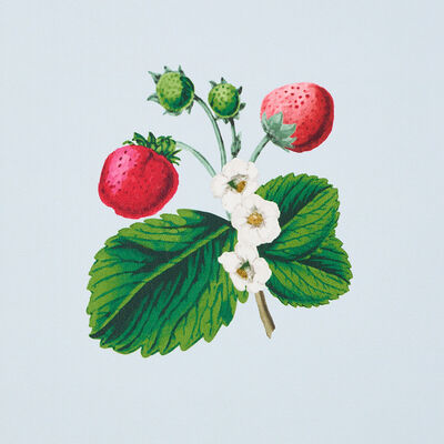 Schumacher Wallcovering -STRAWBERRY HILL-5014321