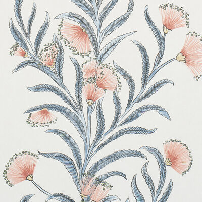 Schumacher Wallcovering -TASMANIAN MIMOSA-5015360