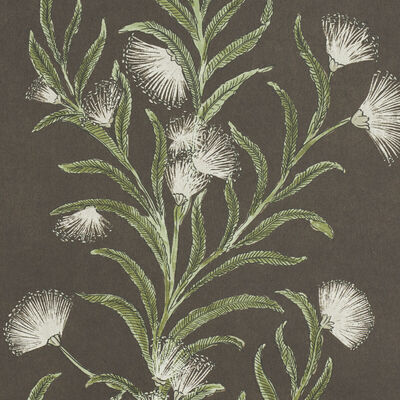 Schumacher Wallcovering -TASMANIAN MIMOSA-5015361