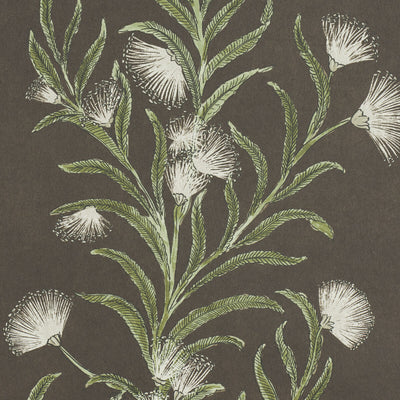 SCHUMACHER WALLCOVERING -TASMANIAN MIMOSA-5015361