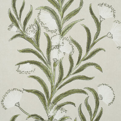 Schumacher Wallcovering -TASMANIAN MIMOSA-5015362