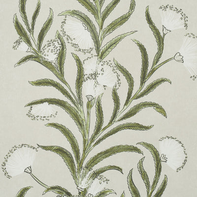 SCHUMACHER WALLCOVERING -TASMANIAN MIMOSA-5015362