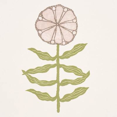 SCHUMACHER WALLCOVERING -PRETTY PETALS-5015451