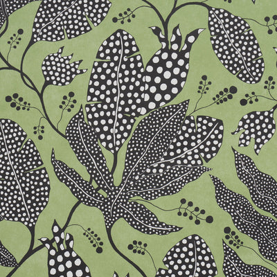 SCHUMACHER WALLCOVERING -POLKA DOT JUNGLE-5015460