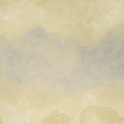 SCHUMACHER WALLCOVERING -PAINTED SKY-5016020