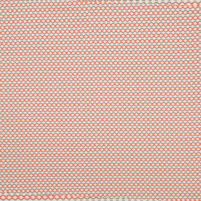 Robert Allen Fabrics Fabrics -PETAL GRID | PERSIMMON