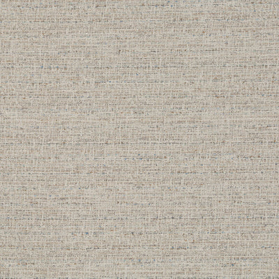 Robert Allen Fabrics Fabrics -SIMPLY SLUBBED | OYSTER