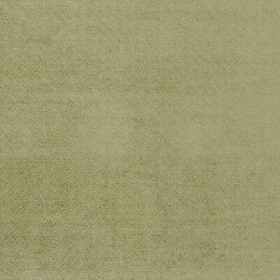 Robert Allen Fabrics Fabrics -TANGLE UP | LETTUCE