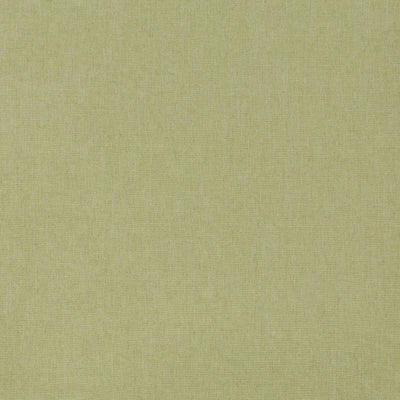 Robert Allen Fabrics Fabrics -LINEN CANVAS | LETTUCE