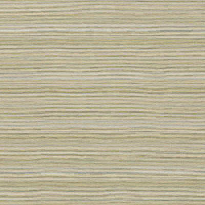 Robert Allen Fabrics Fabrics -TOUCH OF GLITZ | LETTUCE