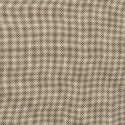 Robert Allen Fabrics Fabrics -LOCK BOX | TRUFFLE