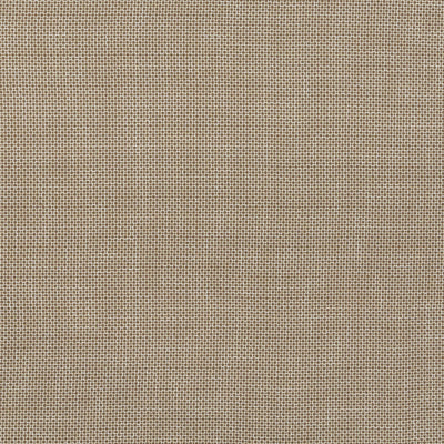 Robert Allen Fabrics Fabrics -LOCK BOX | TRUFFLE