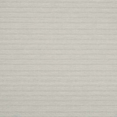 Robert Allen Fabrics Fabrics -ADORN SOLID | PLATINUM