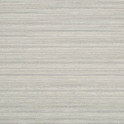 Robert Allen Fabrics Fabrics -ADORN SOLID | PLATINUM