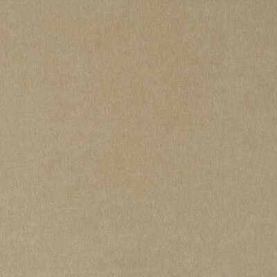 Beacon Hill Fabrics Fabrics -ALPACA VELVET | CHAMPAGNE