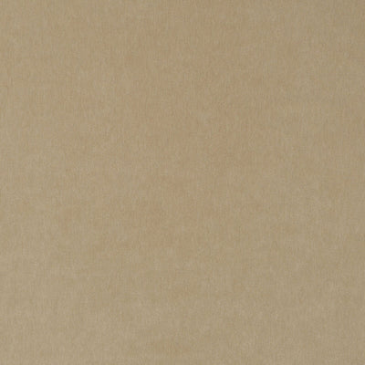 Beacon Hill Fabrics Fabrics -ALPACA VELVET | CHAMPAGNE