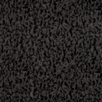 Highland Court Fabrics Fabrics -HV16248 | 79-CHARCOAL