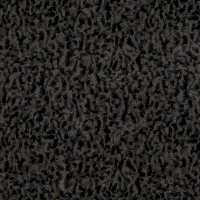 Highland Court Fabrics Fabrics -HV16248 | 79-CHARCOAL