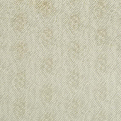 Beacon Hill Fabrics Fabrics -NAIROBI | IVORY