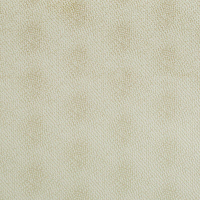 Beacon Hill Fabrics Fabrics -NAIROBI | IVORY