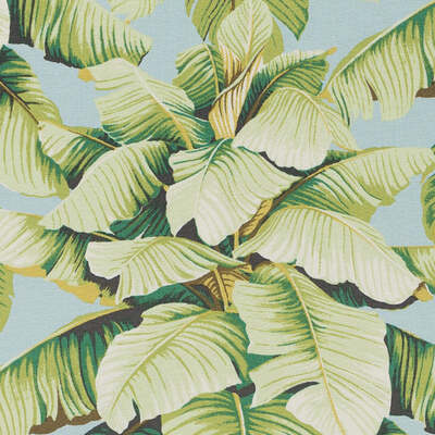 Suburban Fabrics Fabrics -SE42627 | 601-AQUA/GREEN