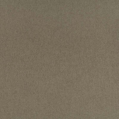 Robert Allen Fabrics Fabrics -GUNNYSACK | BRINDLE