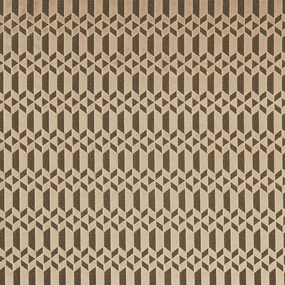 Robert Allen Fabrics Fabrics -BOOST | STARDUST