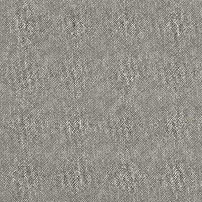 Robert Allen Fabrics Fabrics -BACKBONE | STONE