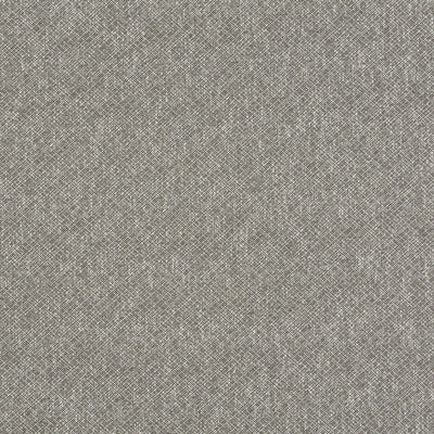 Robert Allen Fabrics Fabrics -BACKBONE | STONE