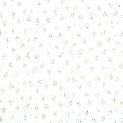 Robert Allen Fabrics Fabrics -SIBUCO | 512-BEIGE