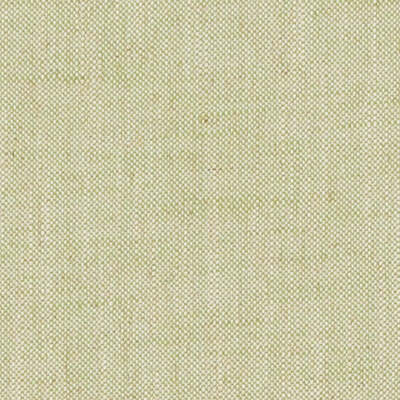 Duralee Fabrics -DW61848 | 609-WASABI