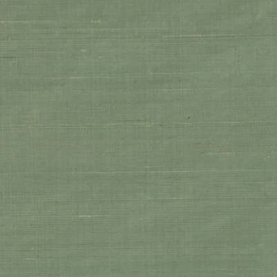 Duralee Fabrics -DR61789 | 597-GRASS