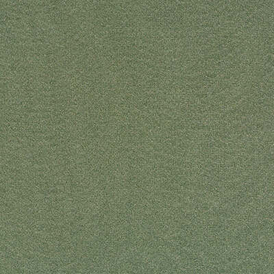 Robert Allen Fabrics Fabrics -MAHSENLI | LEAF