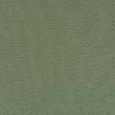 Robert Allen Fabrics Fabrics -MAHSENLI | LEAF
