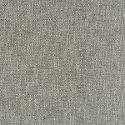 Robert Allen Fabrics Fabrics -BORUCU | LEAF