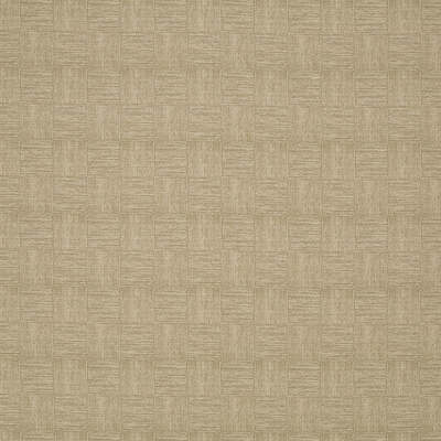Duralee Fabrics -DN16398 | 88-CHAMPAGNE