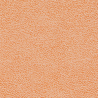 Duralee Fabrics -DU16443 | 35-TANGERINE