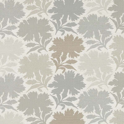 Duralee Fabrics -DU16444 | 587-LATTE