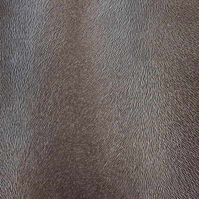 Robert Allen Fabrics Fabrics -ALGONQUIN | SAND