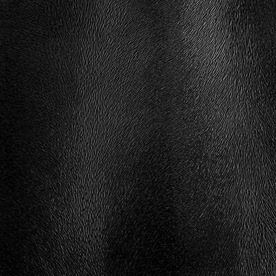 Robert Allen Fabrics Fabrics -ALGONQUIN | BLACK