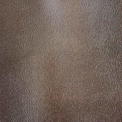 Robert Allen Fabrics Fabrics -ALGONQUIN | BEIGE