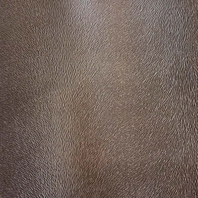 Robert Allen Fabrics Fabrics -ALGONQUIN | BEIGE