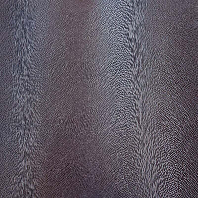 Robert Allen Fabrics Fabrics -Algonquin | Charcoal