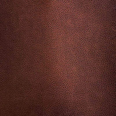Robert Allen Fabrics Fabrics -ORFORD | CHESTNUT